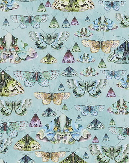 Обои Designers Guild Jardin Des Plantes PDG713/01