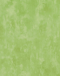 Обои Designers Guild Parchment PDG719/27