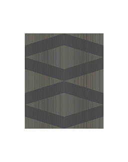 Обои Architector Black & White ZN51100
