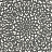 Обои Cole & Son Martyn Lawrence Bullard 113/7019
