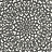 Обои Cole & Son Martyn Lawrence Bullard 113/7019