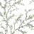Обои Jaima Brown Woodlands Resource JB20204