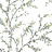 Обои Jaima Brown Woodlands Resource JB20204