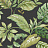 Обои Jaima Brown Woodlands Resource JB21900