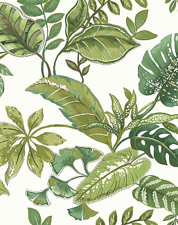 Обои Jaima Brown Woodlands Resource JB21914