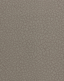 Обои Zoffany Oblique 312527