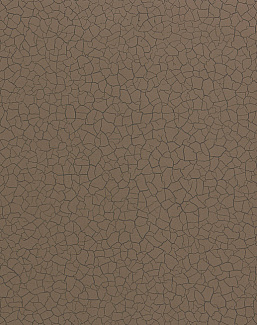 Обои Zoffany Oblique 312529