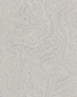 Обои Zoffany Oblique 312538