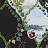 Обои Christian Lacroix Histoires Naturelles PCL7016-01