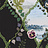 Обои Christian Lacroix Histoires Naturelles PCL7016-01