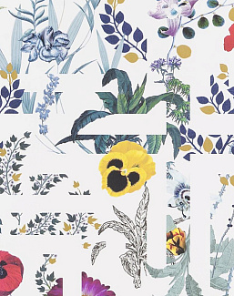 Обои Christian Lacroix Histoires Naturelles PCL7018-02