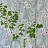 Обои Designers Guild Mandora PDG1050-02