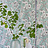 Обои Designers Guild Mandora PDG1050-02