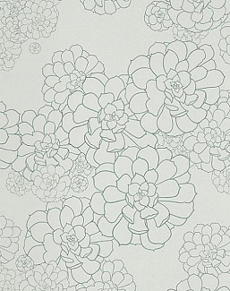 Обои Paint & Paper Library Tresco Aeonium Blue Gum