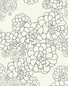 Обои Paint & Paper Library Tresco Aeonium Clean White