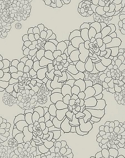 Обои Paint & Paper Library Tresco Aeonium Cotton