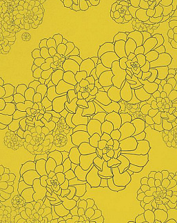 Обои Paint & Paper Library Tresco Aeonium Gamboge