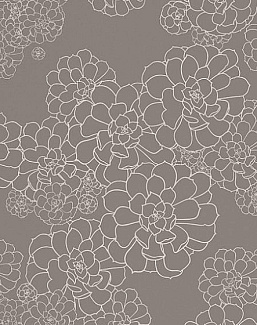Обои Paint & Paper Library Tresco Aeonium Monument