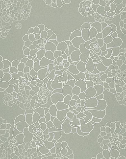 Обои Paint & Paper Library Tresco Aeonium Steel