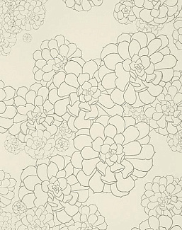 Обои Paint & Paper Library Tresco Aeonium Wattle