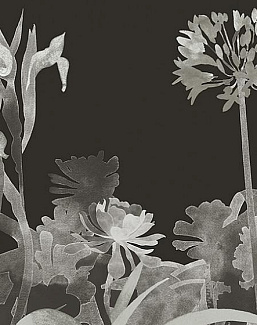 Панно и фотообои Paint & Paper Library Tresco Aloe Walk Perse Grey