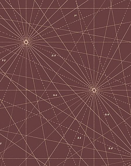 Панно и фотообои Paint & Paper Library Tresco Chart Plum Brandy