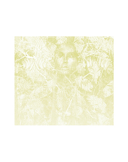 Панно и фотообои KT-Exclusive Flagman Series - Vanilla Lime 014350
