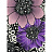 Обои Missoni Home Wallcoverings 01 20001