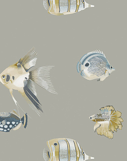 Обои Harlequin Anthozoa 111646