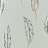 Обои Harlequin Anthozoa 111656