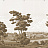 Обои Paul Montgomery Studio Melange Series Virginia Sepia