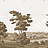 Обои Paul Montgomery Studio Melange Series Virginia Sepia