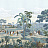 Обои Paul Montgomery Studio Melange Series West Indies Classic
