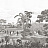 Обои Paul Montgomery Studio Melange Series West Indies Grisaille
