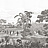 Обои Paul Montgomery Studio Melange Series West Indies Grisaille