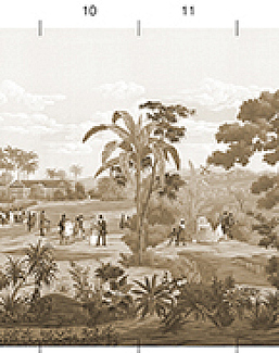 Обои Paul Montgomery Studio Melange Series West Indies Sepia