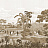 Обои Paul Montgomery Studio Melange Series West Indies Sepia