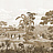 Обои Paul Montgomery Studio Melange Series West Indies Sepia