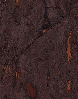 Обои Innovations Collection Gilden Cork GCO-109 RUSTED