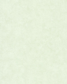 Обои Caselio Beton 2 BTO101487042