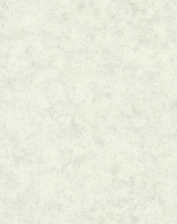 Обои Caselio Beton 2 BTO101487140
