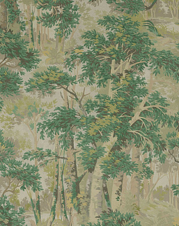 Обои Colefax and Fowler Ashdown Wallpapers W7016/02