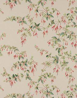 Обои Colefax and Fowler Ashdown Wallpapers W7018/03