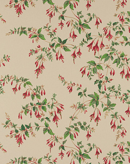 Обои Colefax and Fowler Ashdown Wallpapers W7018/04