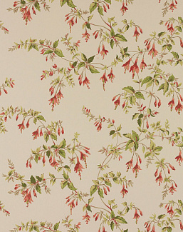 Обои Colefax and Fowler Ashdown Wallpapers W7018/06
