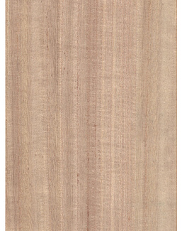 Обои B&M Living Woods H157NV1014