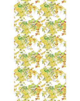 Обои Nicolette Mayer Regence Redux Pergola Vine/Gold