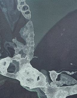 Панно и фотообои Calico Microcosmos Umbra