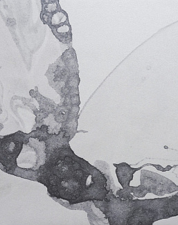 Панно и фотообои Calico Microcosmos Drift