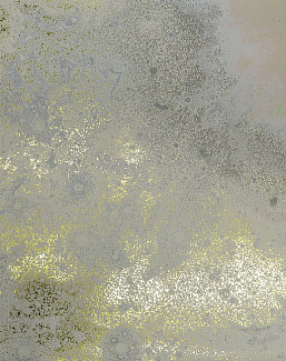 Панно и фотообои Calico Inverted Spaces Orion